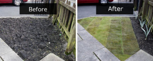 gardening services in burnley